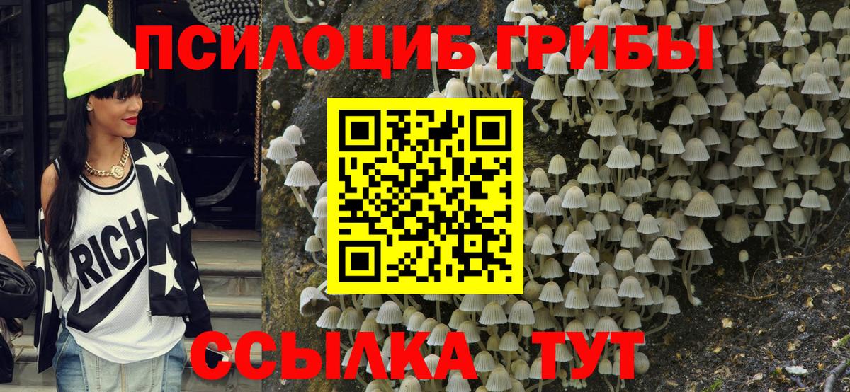 Тобольск  Псилоцибиновые грибы MAGIC MUSHROOMS  Вход с VPN 