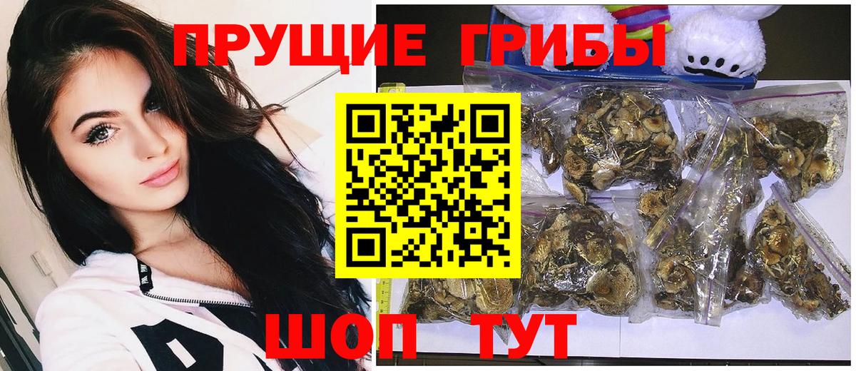 Псилоцибиновые грибы мухоморы Тобольск